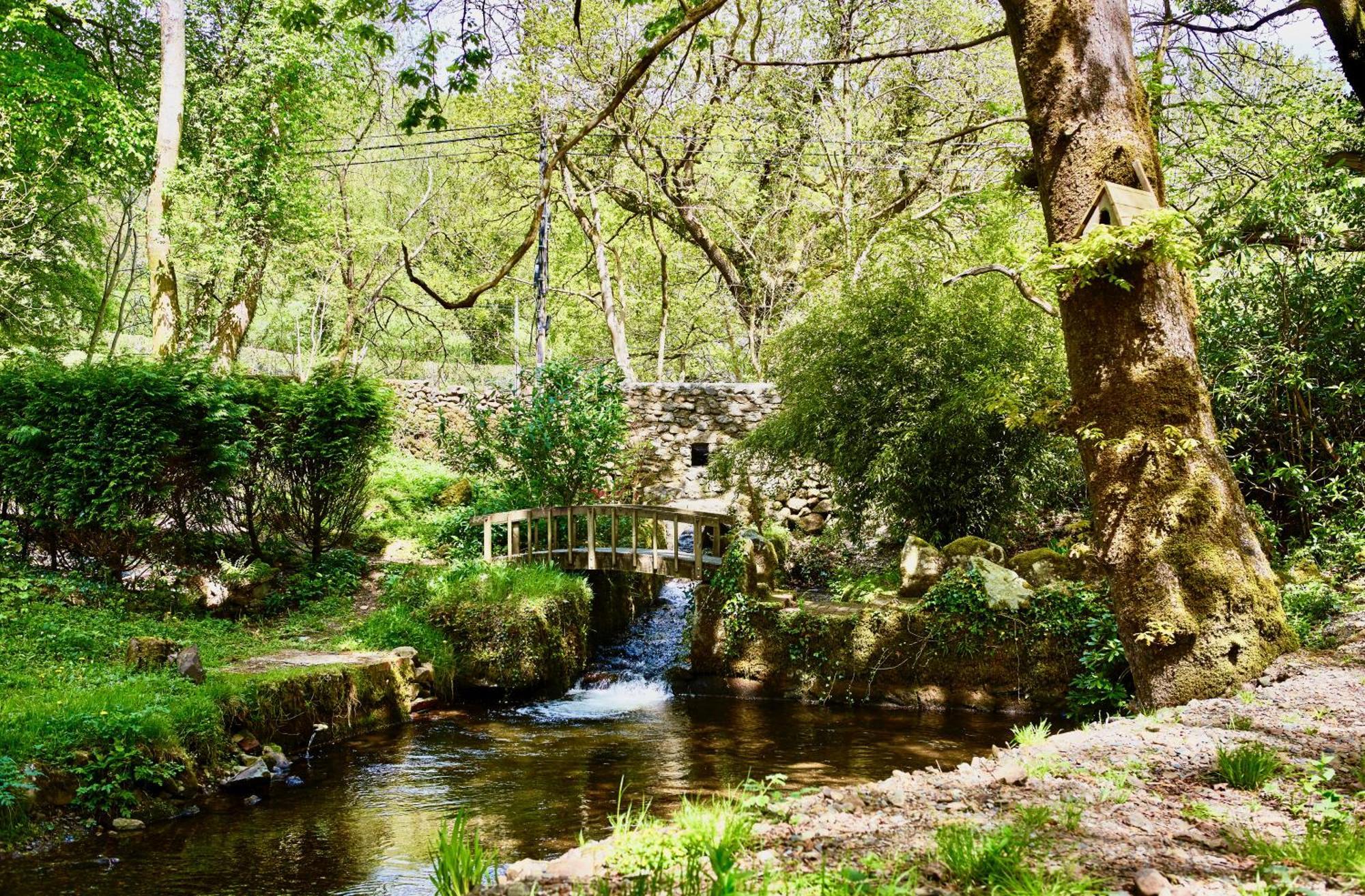 Afon Rhaiadr Country House Dolgellau Eksteriør billede